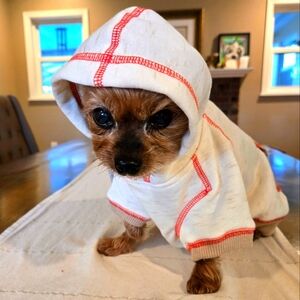 Fleece Lined Dog Hoodie S